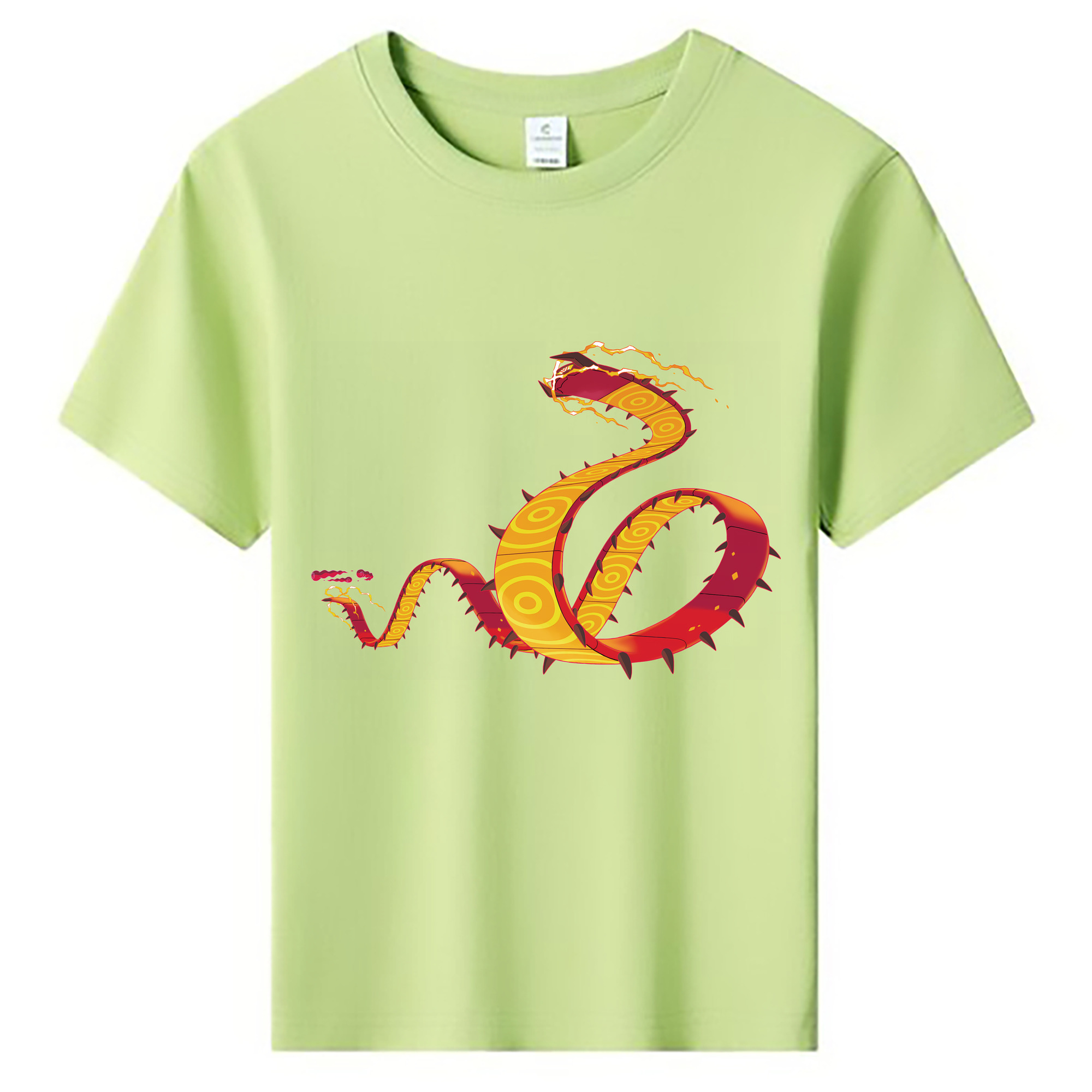 （画像用） ポケットモンスター Pokémon 綿100％キッズTシャツ（フロントプリント）